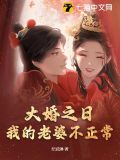 大婚之日,我的老婆不正常下载