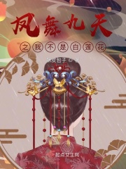 凤舞九天言情小说