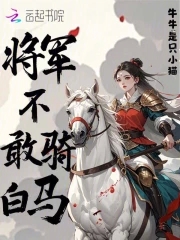 将军不敢骑白马正版