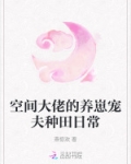 空间之大佬的农家
