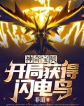 神奇宝贝:开局获得闪电鸟