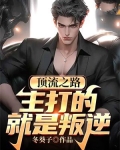顶流指北小说