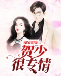 独家婚宠:贺少很专情