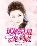 试婚总裁一宠到底