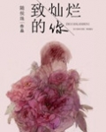 致灿烂的你