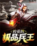 校花的超级兵王刀锋易冷txt