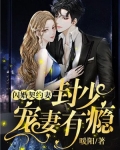 闪婚契约妻封少宠妻有瘾漫画