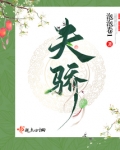 夫骄战纪