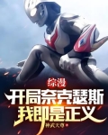 在综漫中出现奈克瑟斯的小说