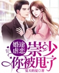 婚途虐爱崇少你被甩了