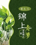 重生之锦上青萝免费